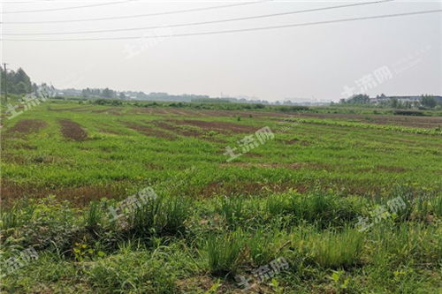 土流網(wǎng)賦能農(nóng)業(yè)綜合開(kāi)發(fā) 構(gòu)建現(xiàn)代高效農(nóng)業(yè)新格局